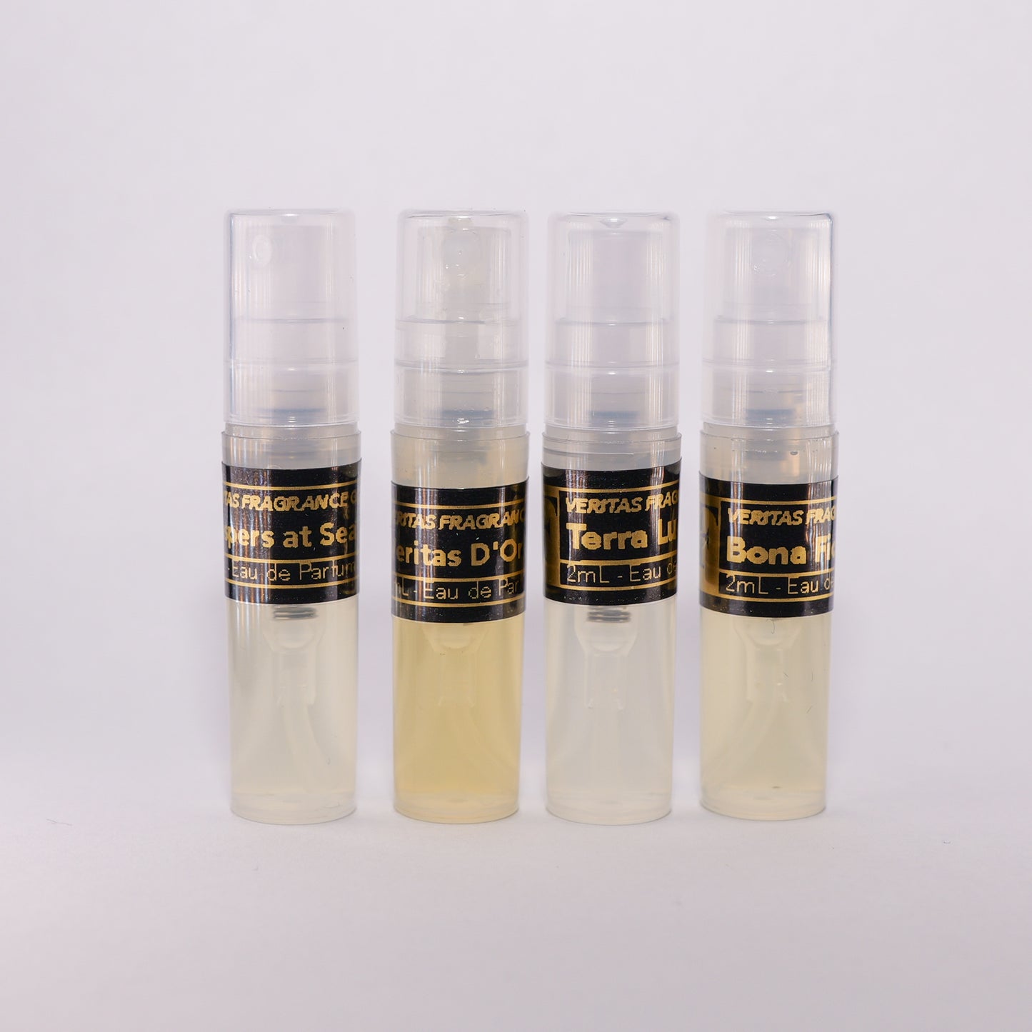 Veritas Foundation Collection